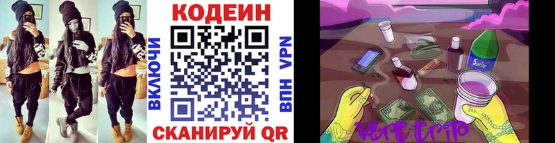 Купить  Гай  Codein Purple Drank 