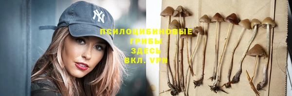 гидропоника Верхнеуральск