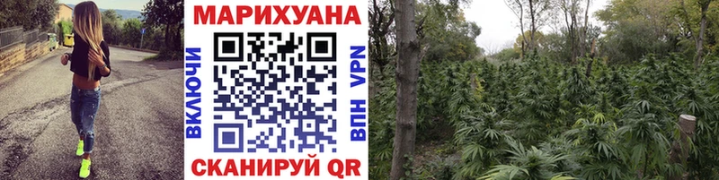 Конопля Amnesia  Купить  Гай 